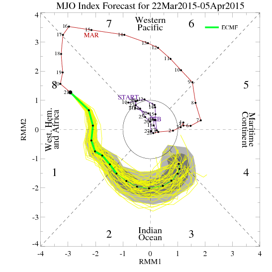 ECMF MJO Forecast