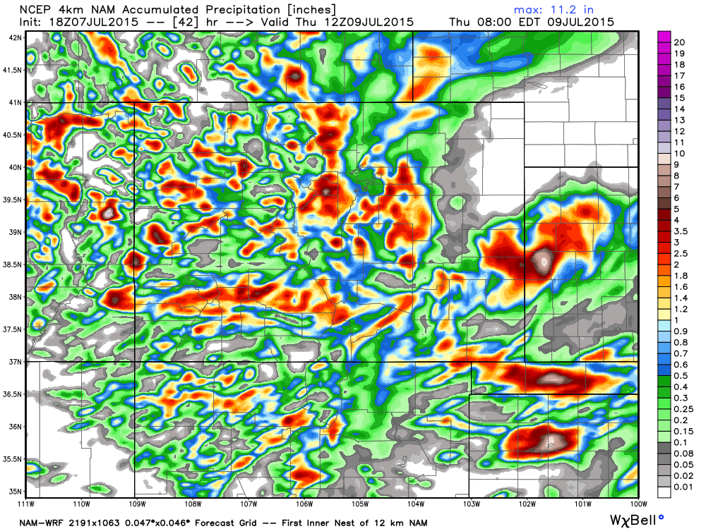 NAM Precipitation Forecast | WeatherBell Analytics